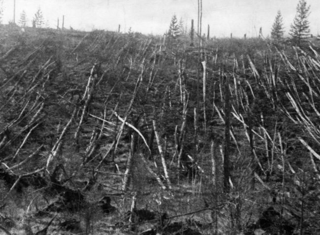 Метеор што уништи милиони дрвја во Сибир само ја „допре“ Земјата, се вели во новите истражувања